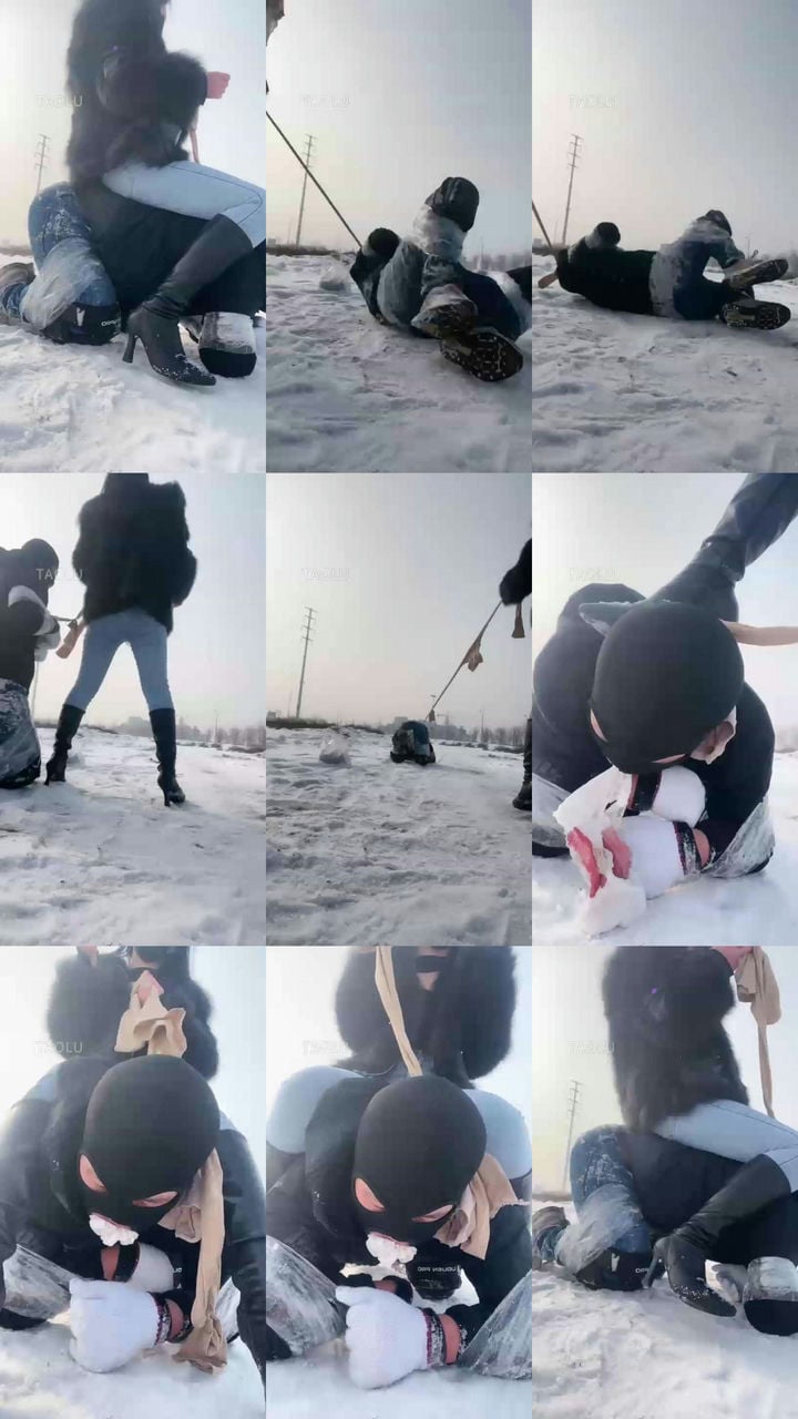 雪地的一场遛狗之旅-思诺