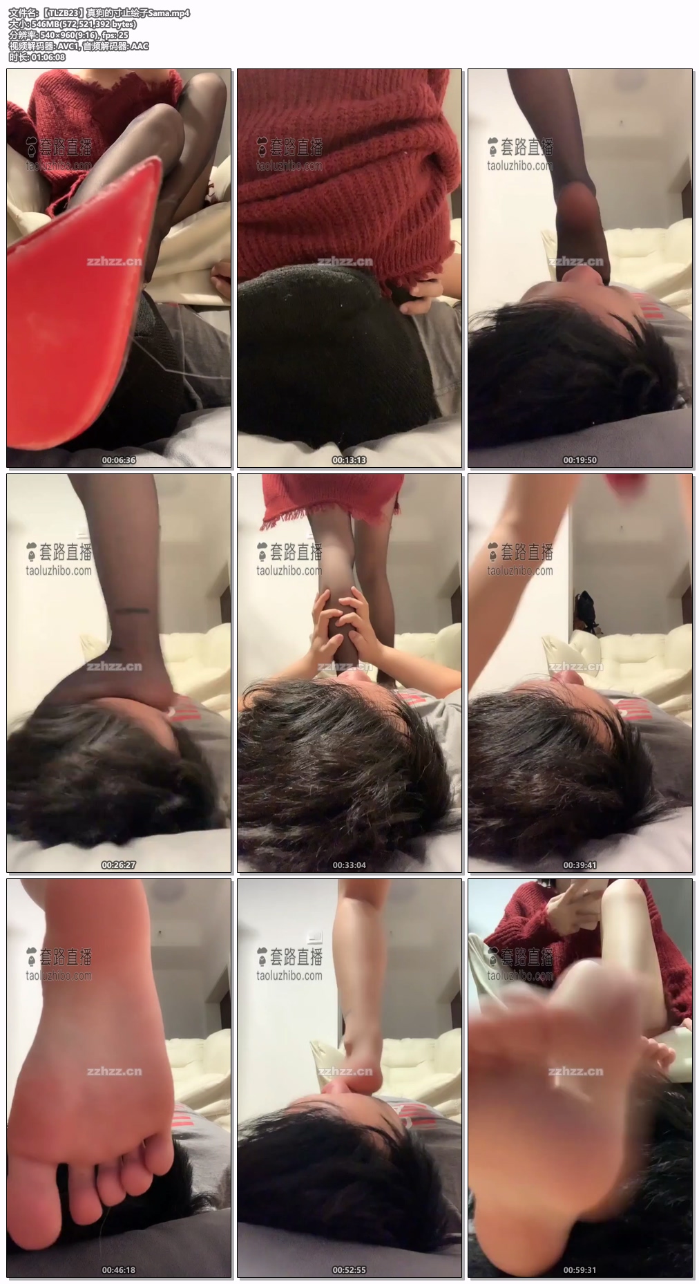 【TLZB23】真狗的寸止绘子Sama